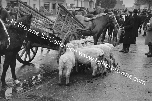 BLESSINGTON FAIR